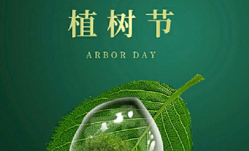 福天輥筒丨植樹節，播種希望，承載夢想